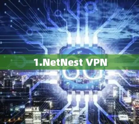 1.NetNest VPN 1.NetNest VPN