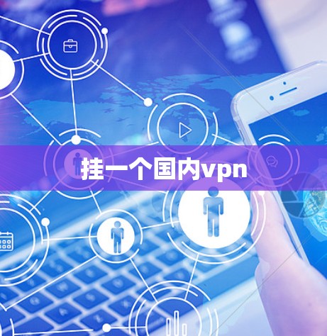 挂一个国内vpn 挂一个国内vpn