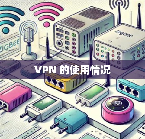 VPN 的使用情况 VPN 的使用情况
