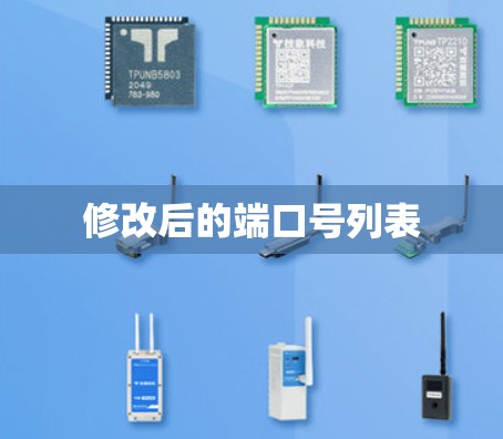 修改后的端口号列表 修改后的端口号列表
