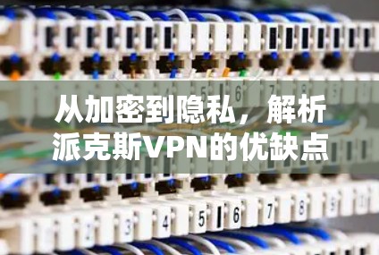 从加密到隐私,解析派克斯VPN的优缺点 从加密到隐私,解析派克斯VPN的优缺点