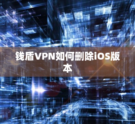 钱盾VPN如何删除iOS版本