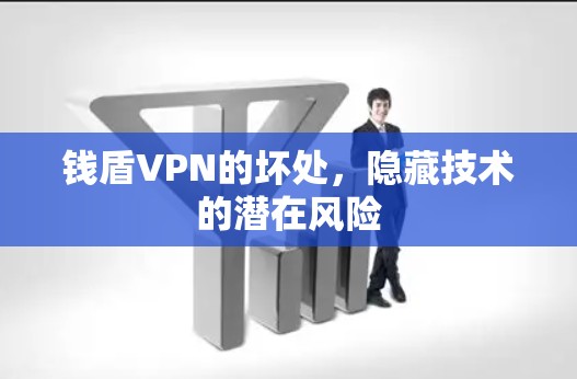 钱盾VPN的坏处，隐藏技术的潜在风险