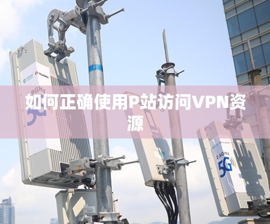 如何正确使用P站访问VPN资源 如何正确使用P站访问VPN资源