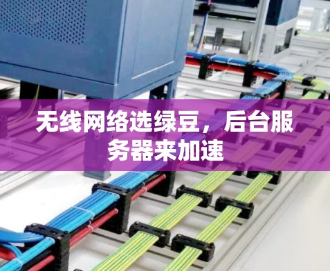 无线网络选绿豆,后台服务器来加速 无线网络选绿豆,后台服务器来加速