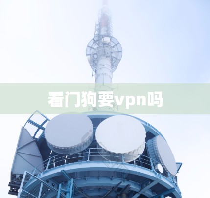 看门狗要vpn吗 看门狗要vpn吗