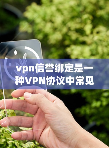 vpn信誉绑定是一种VPN协议中常见的绑定机制，旨在用户获得额外的安全措施和保护。以下是对vpn信誉绑定是什么的详细解释