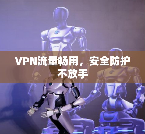VPN流量畅用,安全防护不放手 VPN流量畅用,安全防护不放手