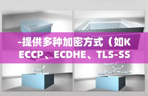 -提供多种加密方式(如KECCP、ECDHE、TLS-SSL)适合个人用户和企业用户 -提供多种加密方式(如KECCP、ECDHE、TLS-SSL)适合个人用户和企业用户