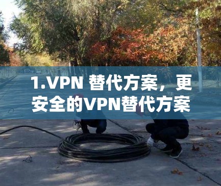 1.VPN 替代方案,更安全的VPN替代方案 1.VPN 替代方案,更安全的VPN替代方案