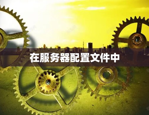 在服务器配置文件中 在服务器配置文件中