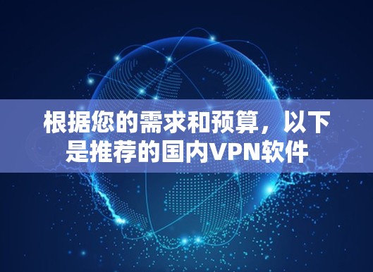 根据您的需求和预算，以下是推荐的国内VPN软件