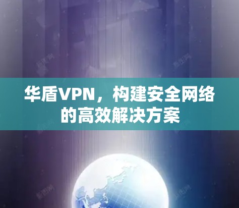 华盾VPN,构建安全网络的高效解决方案 华盾VPN,构建安全网络的高效解决方案