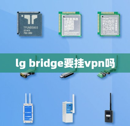 lg bridge要挂vpn吗