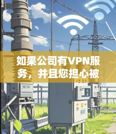 如果公司有VPN服务，并且您担心被监控或被黄网平台监控，以下是一些可以采取的步骤和建议