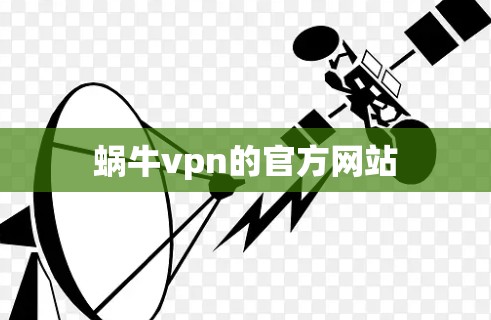 蜗牛vpn的官方网站 蜗牛vpn的官方网站