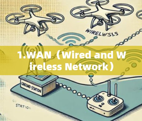 1.WAN（Wired and Wireless Network）