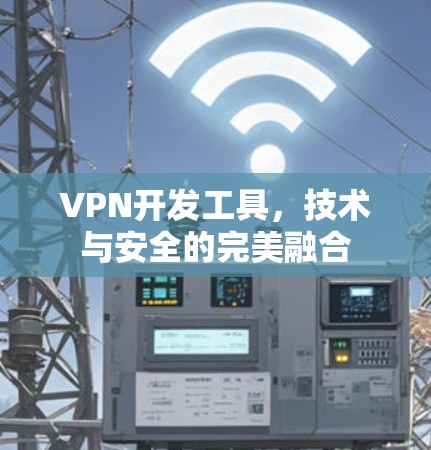VPN开发工具,技术与安全的完美融合 VPN开发工具,技术与安全的完美融合