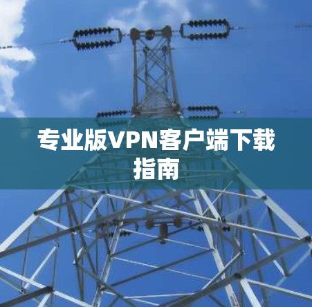 专业版VPN客户端下载指南 专业版VPN客户端下载指南