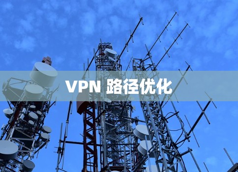 VPN 路径优化 VPN 路径优化