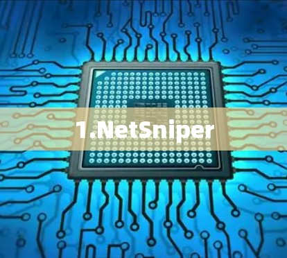 1.NetSniper 1.NetSniper