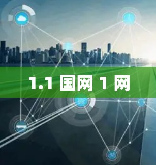 1.1 国网 1 网