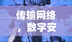传输网络,数字安全与用户友好 传输网络,数字安全与用户友好