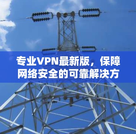 专业VPN最新版,保障网络安全的可靠解决方案 专业VPN最新版,保障网络安全的可靠解决方案