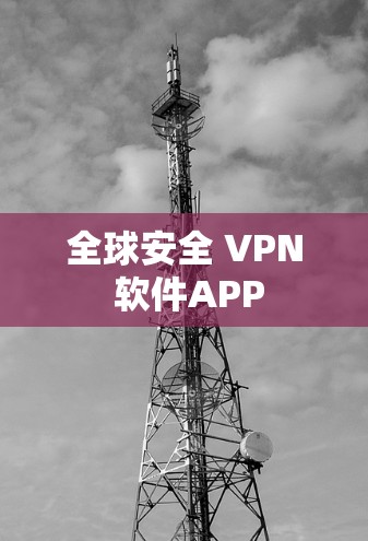 全球安全 VPN 软件APP 全球安全 VPN 软件APP
