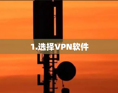 1.选择VPN软件 1.选择VPN软件