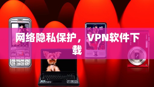 网络隐私保护,VPN软件下载 网络隐私保护,VPN软件下载